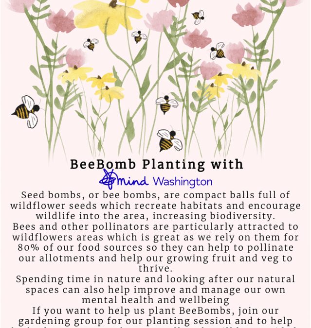 Looking after the planet, looking after our wellbeing – BeeBomb Planting Session
